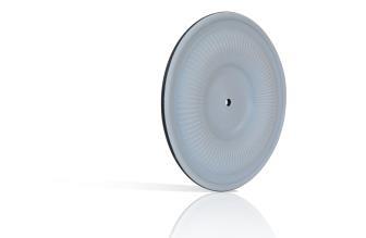 D004 Garlock&reg; ONE-UP&reg; Diaphragm with EPDM Backing